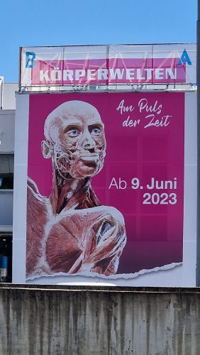 Bild-20230915-105311-a034c303
