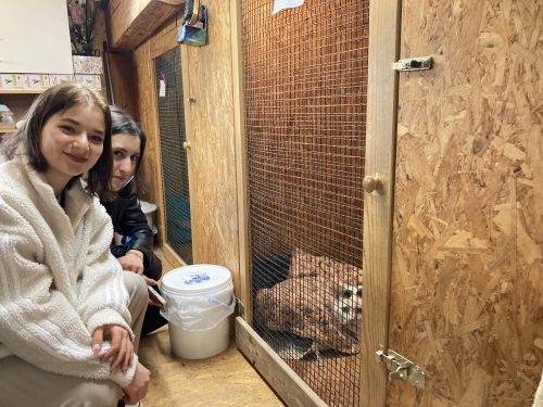 Bild-20240419-121600-31155cc5