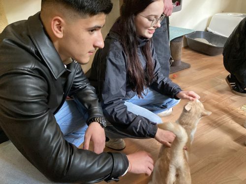 Bild-20240419-121743-c5cabcb9