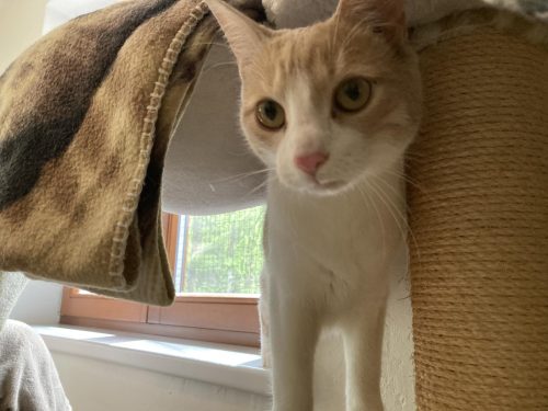 Bild-20240419-122107-b546beeb