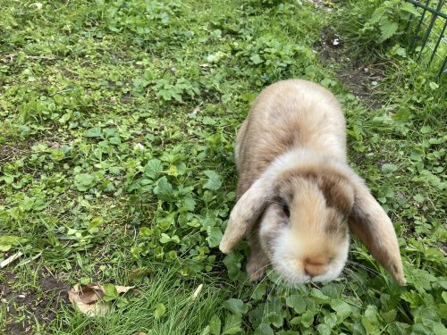 Bild-20240419-124600-24685673