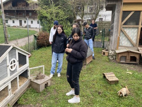 Bild-20240419-124610-aece5385