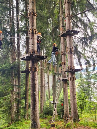 Klettern-Wald
